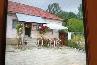 Casă cu 4 camere în Beba Veche