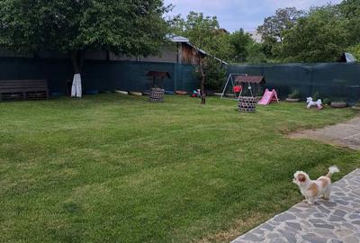 Casă cu 3 camere în Central - 7