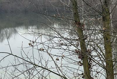 Spațiu comercial, în Batăr - 8