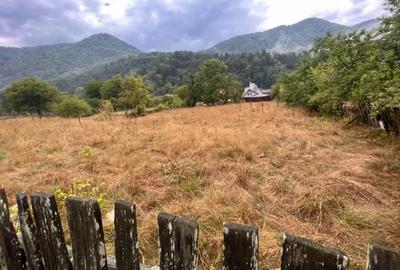 Spațiu comercial, în Hârja - 2