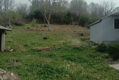 Teren de 4650 mp, în Vârvor - 3
