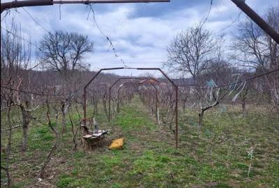 Casa Racoasa Vrancea  - comision 0 - 1