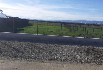 800mp teren intravilan, cu facilitati, Bod, Brasov - 6