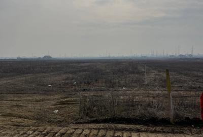 Teren de 2500 mp, în Mărăcineanu - 2