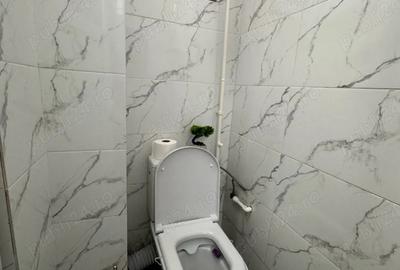 Apartament cu 2 camere semidecomandat în Valea Rosie - 10