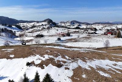 Teren de 1924 mp, în Șirnea - 4