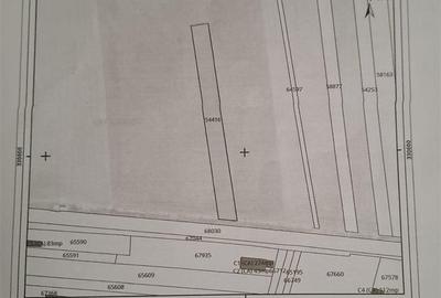 Teren Construcții intravilan de 3750 mp, în Brănești - 3