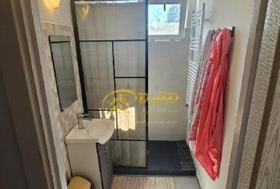 Apartament 2 camere Podu Ros - 2