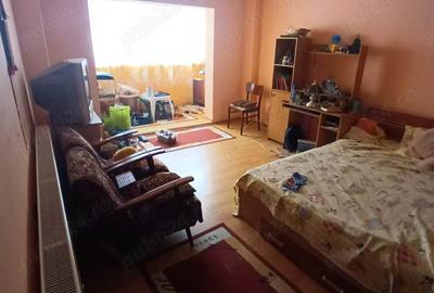 Apartament cu 2 camere decomandat pe Valea Prahovei Apartament cu 2 camere decomandat pe Valea Prahovei - 2