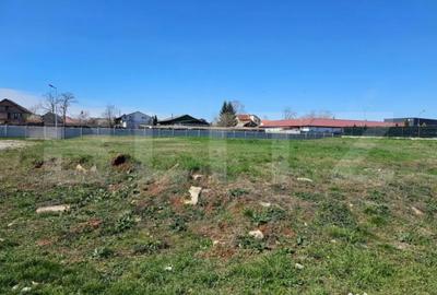 Teren de 1926 mp, în Priseaca - 3