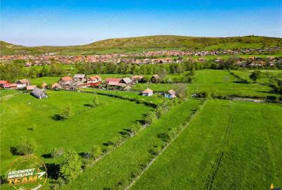 FILM! 2.063 mp de refugiu natural in localitatea Zagon, Covasna - 1