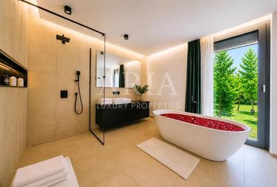 Casă cu 5 camere cu Canalizare în Pipera - 13