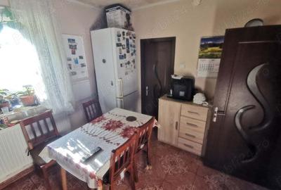 Vand casa Satu Mare str spicului,3 cam placa de beton - 5