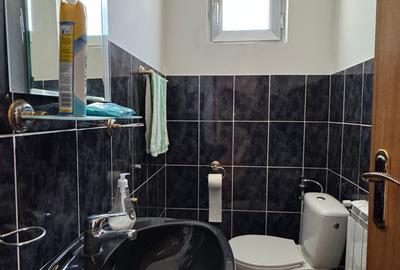 Vila cu curte generoasă Lazu - 12