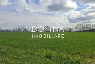 Spațiu comercial, în Câlnic - 4