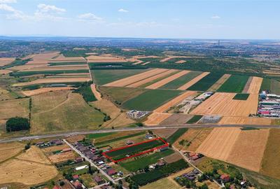 Teren Construcții intravilan de 8000 mp, în Biharia - 5