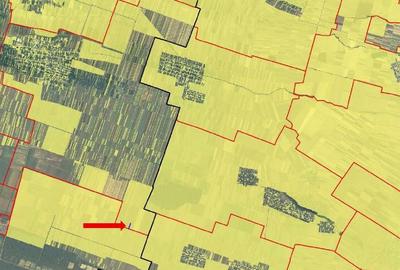 Cota de 1/4 din teren loc. Amarastii de Jos, Jud Dolj - 14