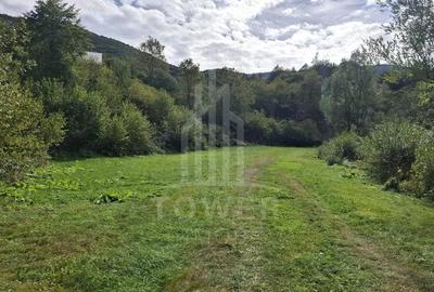 Teren de 4000 mp, în Râu Sadului - 2