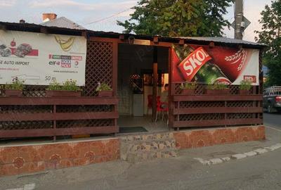 Proprietar, vind Vila 328mp, in Tatarasi, Str. Stejar - 7