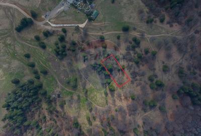 Teren Construcții intravilan de 1872 mp, în Poiana Brașov - 9