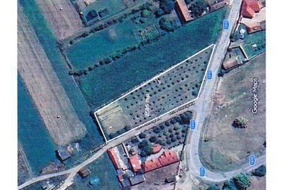 Teren de 2595 mp, în Hoghiz - 3