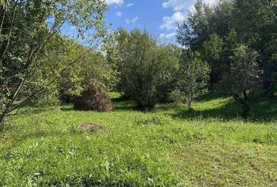 Teren de 4300 mp, în Breaza - 16