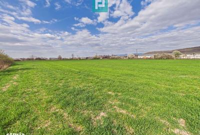 Spațiu comercial, în Gura Văii - 7