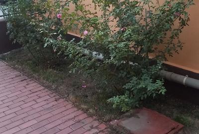 Casă cu 4 camere în Preajba