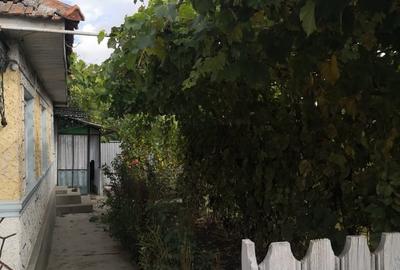 Casă cu 4 camere cu Teren 3687 Mp în Central