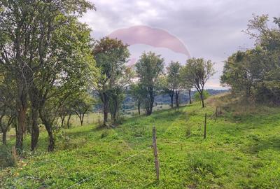 Teren constructii si faneata/livada 3082 mp Damis Bratca drum DJ 764D - 4