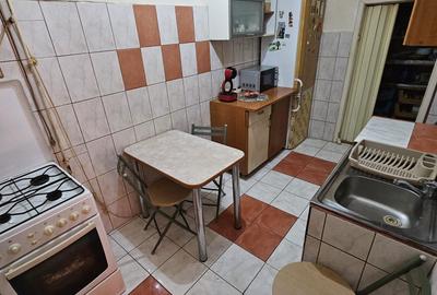 Elisabetin – Casa  4  Camere – Curte comuna - 6