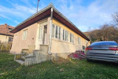 REV2005329 Casa de vanzare in Valea Doftanei - 4