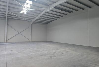 Inchiriere hala/birouri, TBM Industrial Park 600 MPU si teren 1016mp - 6