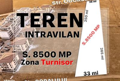 Teren de 8500 mp, în Turnișor