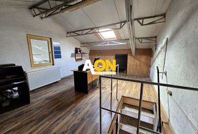 Spațiu industrial, de 550 mp, în Lunca Mureșului - 11