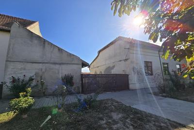 Casă individuală cu 3 camere cu Teren 669 Mp în Cenad - 2