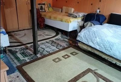 Casă cu 2 camere cu Teren 1400 Mp în Tutana - 3