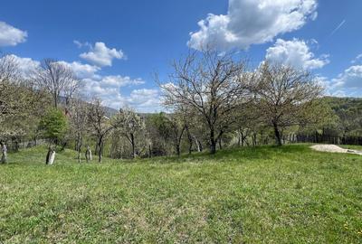 Casă individuală cu 10 camere cu Canalizare în Arefu - 7