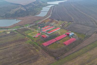 Teren Construcții intravilan de 43708 mp, în Scobâlțeni - 4