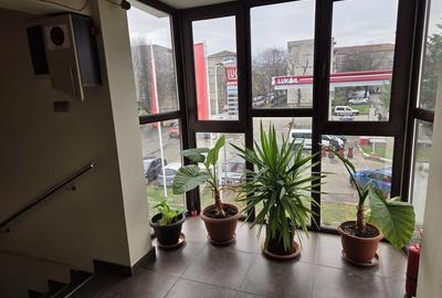 Spațiu comercial, de 30 mp, în Lipovei