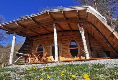 Casă cu 4 camere cu Teren 62000 Mp în Horea - 9