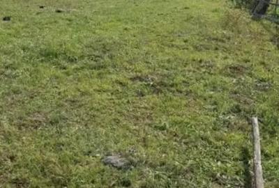 Casă cu 4 camere în Central - 7