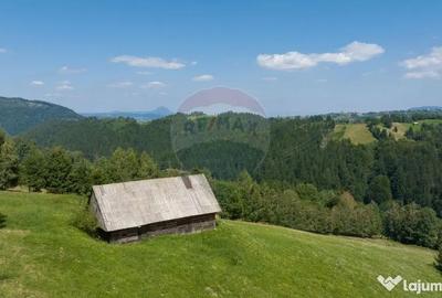 Teren de 15345 mp, în Șimon - 7