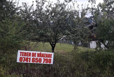 Spațiu comercial, în Văratec - 4