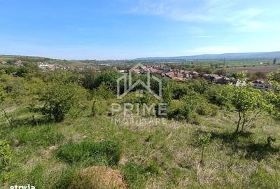 Spațiu comercial, în Pâclișa - 2