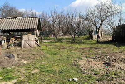 Casă cu 4 camere în Tinca - 2