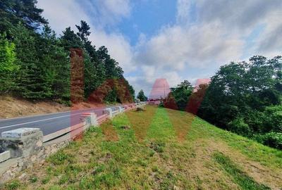 Teren cu priveliste superba si deschidere la drumul de Poiana Brasov - 5