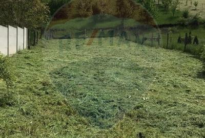 TEREN INTRAVILAN 500 MP DE VANZARE- SURA MARE JUD. SIBIU - 1