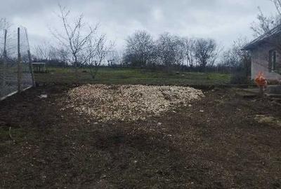 Casă cu 2 camere cu Teren 2500 Mp în Dumbrăveni - 4