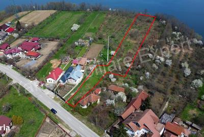 Teren de 3595 mp, în Merișani - 4